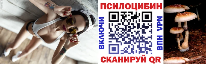 Псилоцибиновые грибы Psilocybine cubensis  Муром 