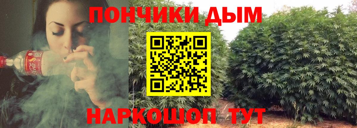 Бошки марихуана THC 21% Муром